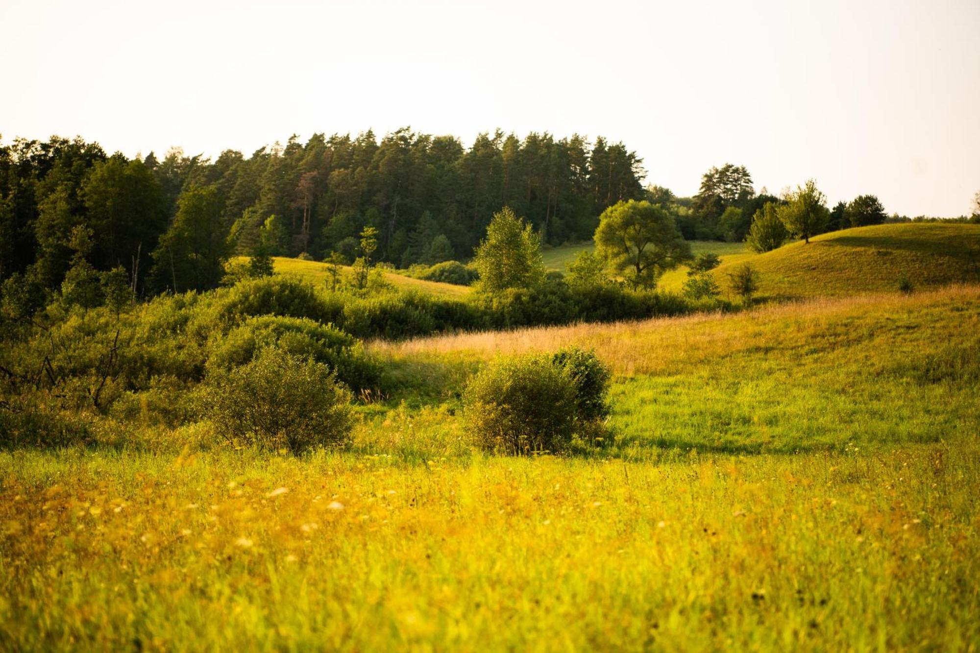 Mazurskie Chatki Mrągowo Exteriör bild