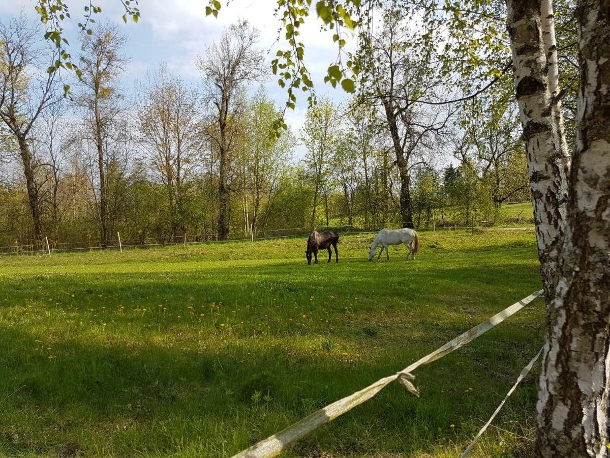 Mazurskie Chatki Mrągowo Exteriör bild